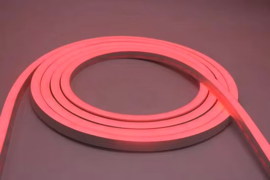 Lumières LED SMD 2835 flexibles au néon en silicone étanche à LED de 5 mm