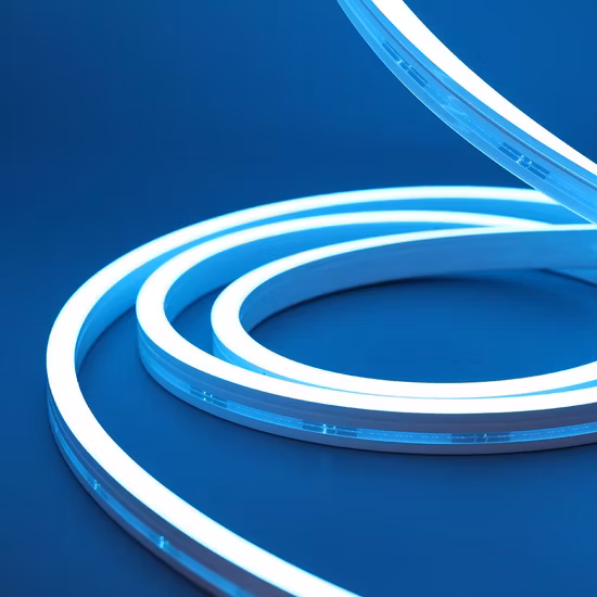 DC24/12V IP67 utilisation extérieure étanche bande lumineuse LED flexible au néon pour la décoration