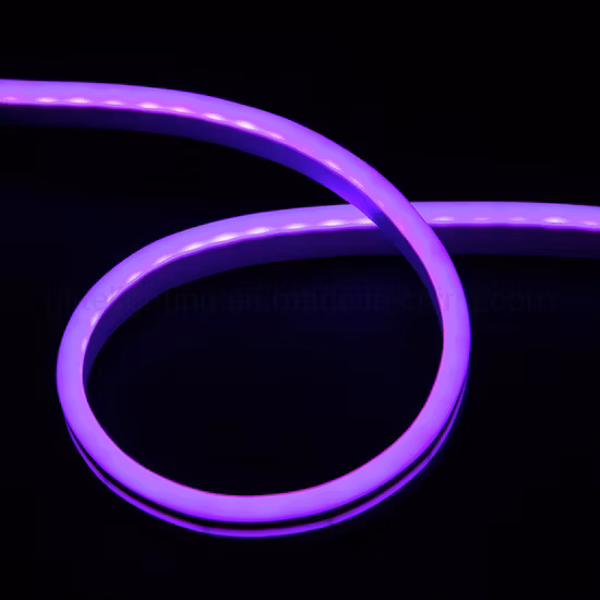 Néon LED haute luminosité Flex 120LED/M IP65 pour l'éclairage de décoration